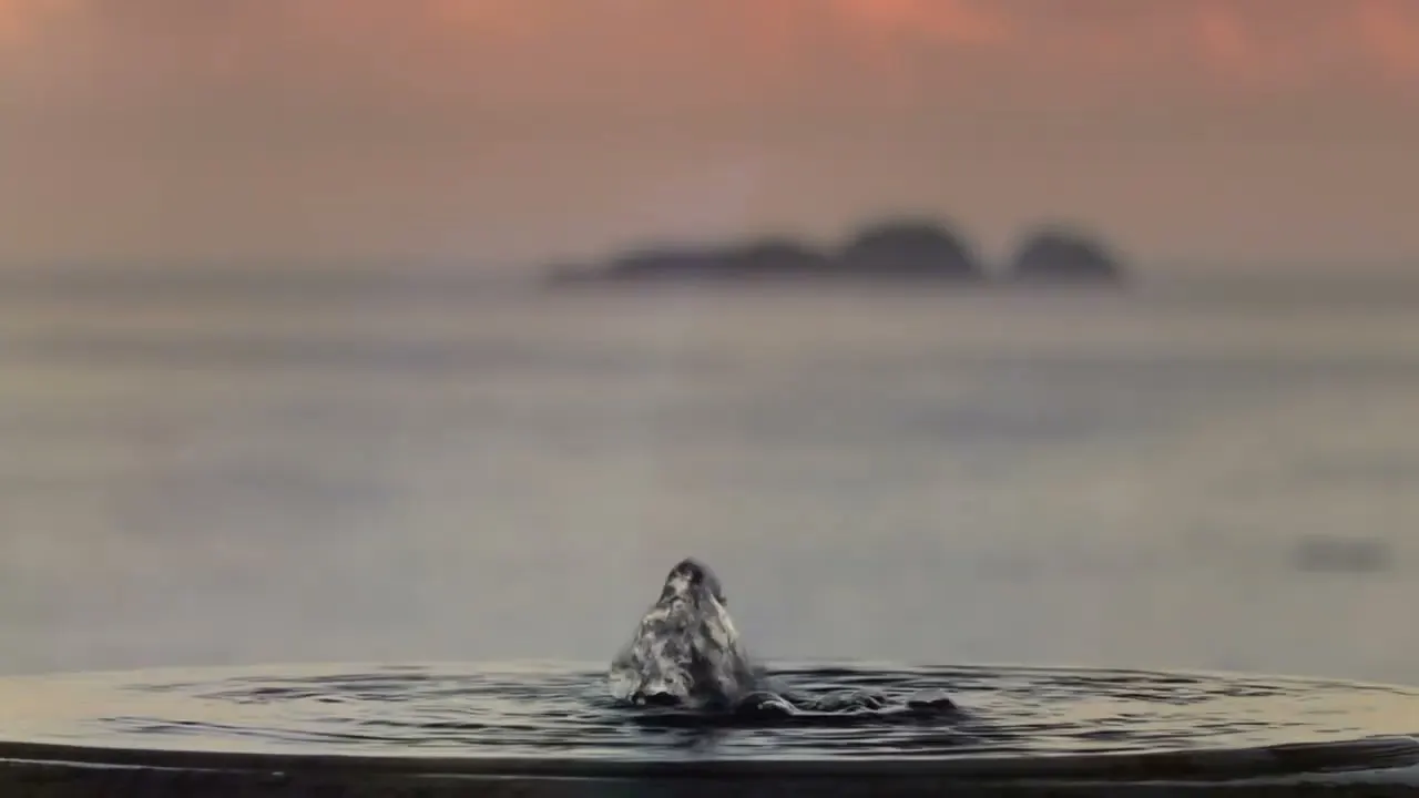 Guarda la clip Il tramonto girata a Villa Tre Ville